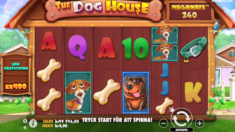 Snurr på The Dog House Megaways.
