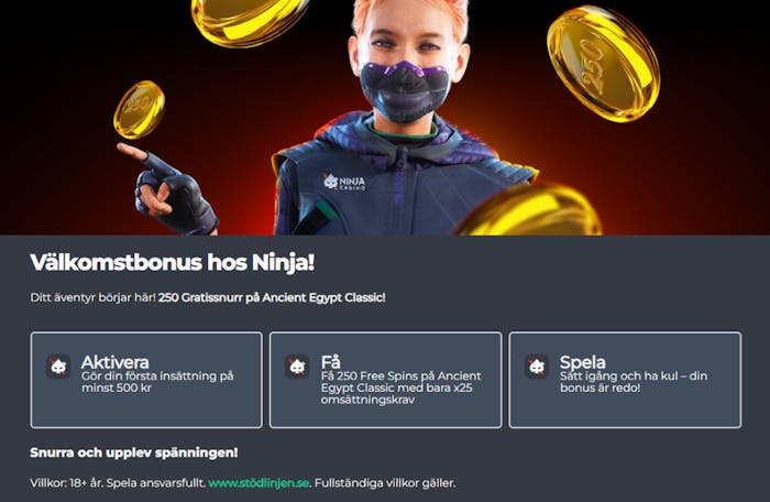 en text som visar en knvinnlig ninja som ser glad ut och pekar på en bonus som ger 250 free spins