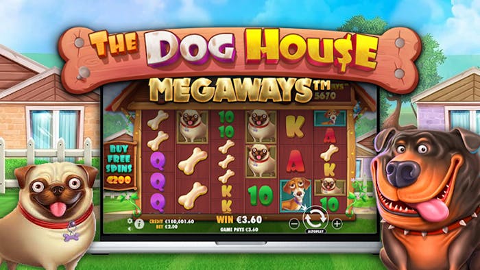 Vem är Top Dog? Dog House (Pragmatic Play) slots rankade för världsvalpdagen
