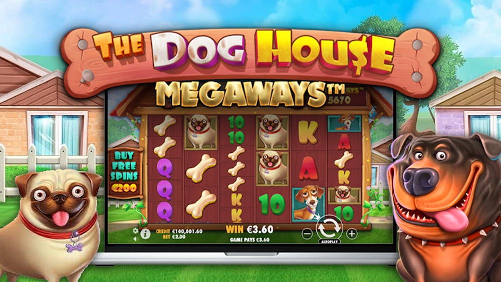 Vem är Top Dog? Dog House (Pragmatic Play) slots rankade för världsvalpdagen
