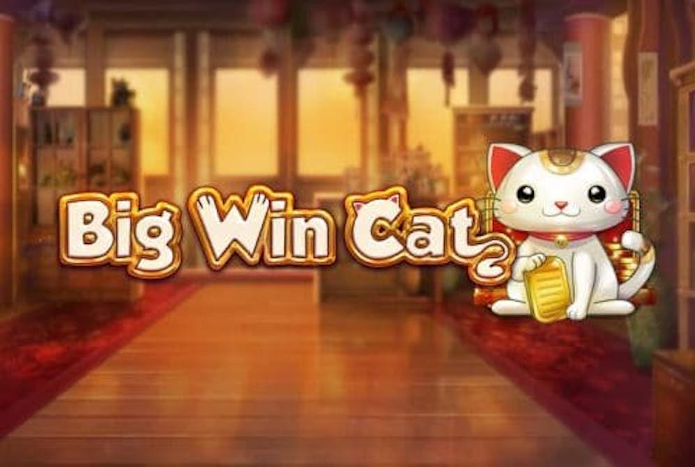 Big Win Cat logo