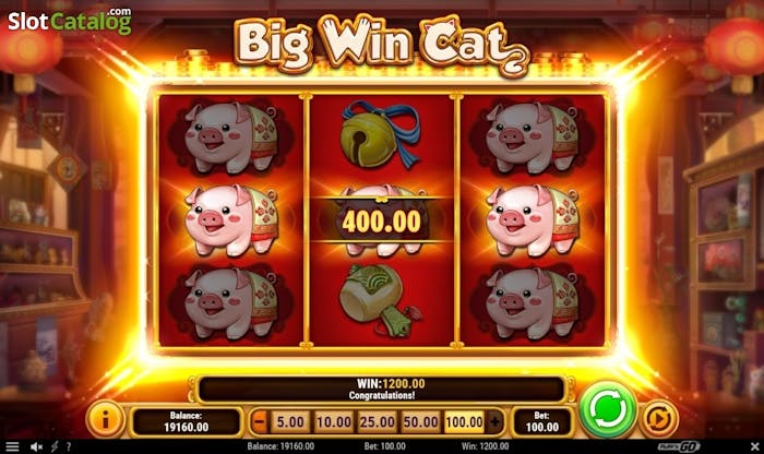 Big Win Cat logo