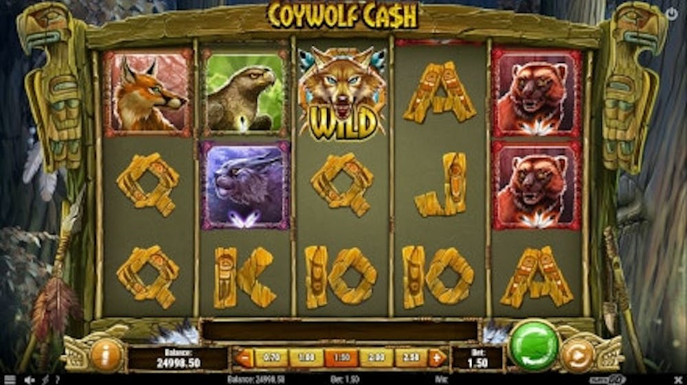Coywolf Cash logo