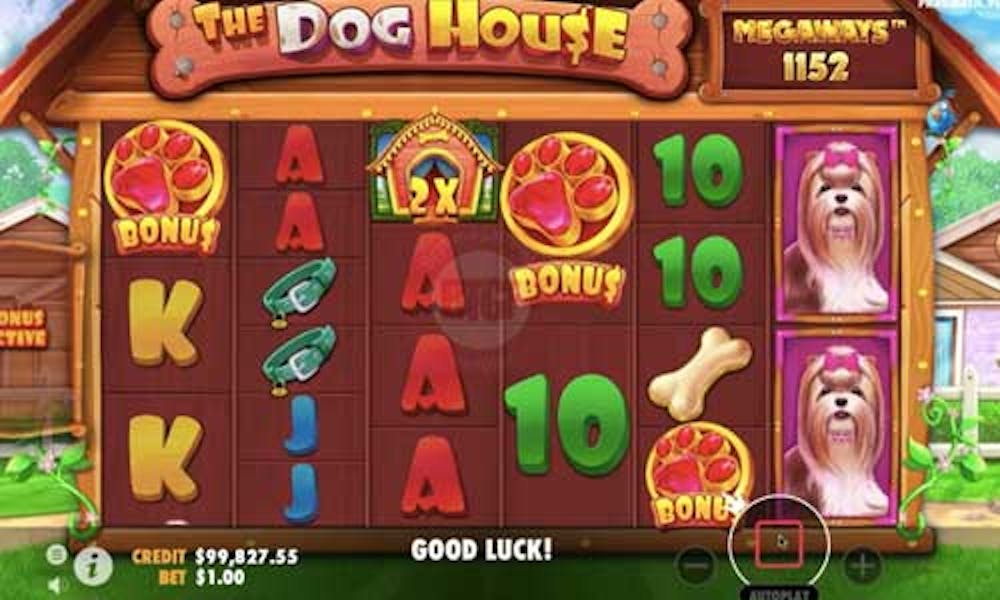 The Dog House Megaways™ slot logo