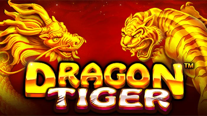 Dragon Tiger logo