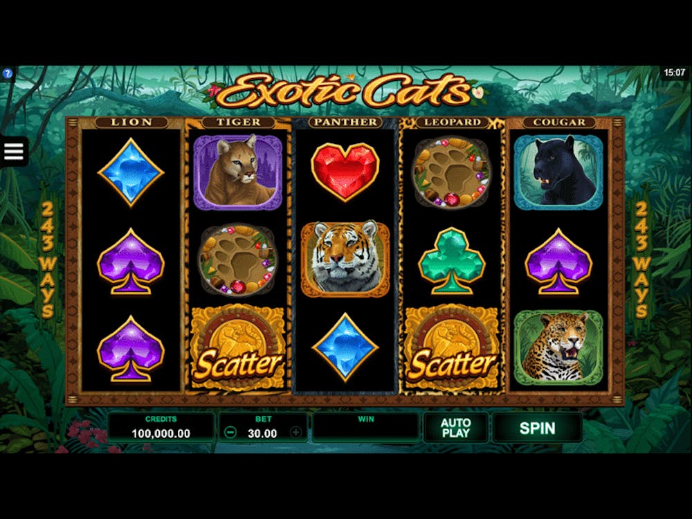 Exotic Cats logo