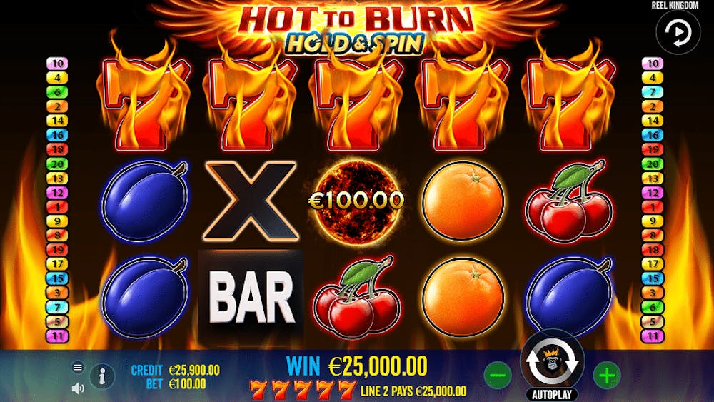 Hot to Burn Hold & Spin logo