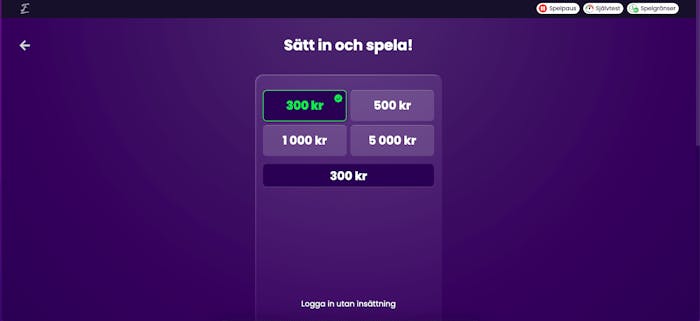 Insättningssidan på Flax