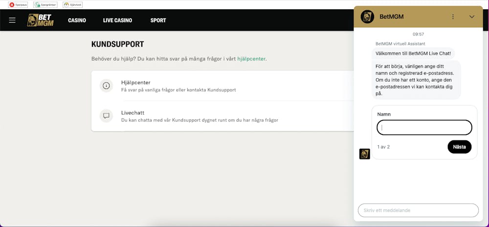 Kundsupport