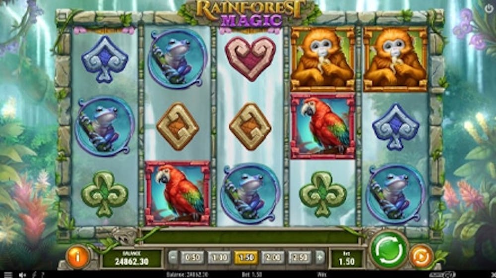 Rainforest Magic logo