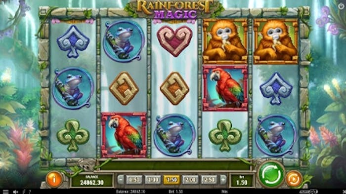 Rainforest Magic logo