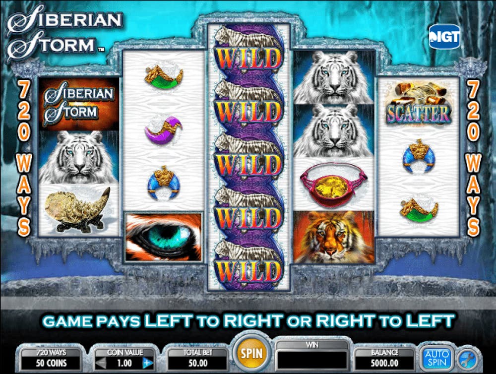 Siberian Storm logo