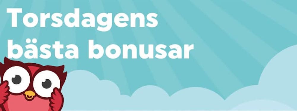 Njut av den svenska sommaren med en hängmattebonus
