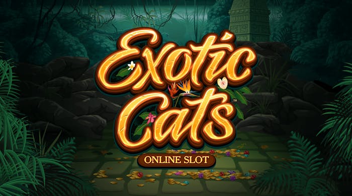 Exotic Cats, Microgaming