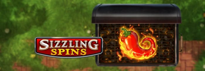 Sizzling Spins, Play’n GO
