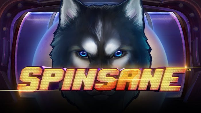 Spinsane1 1