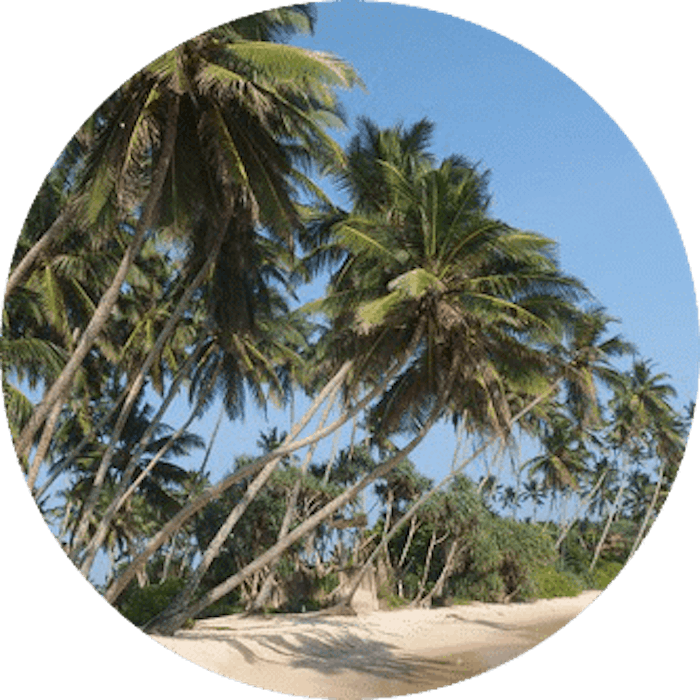 Sri Lanka