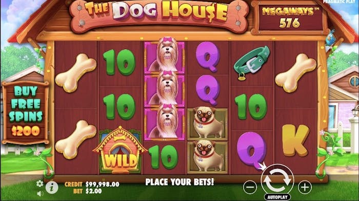 The dog house megaways