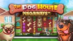 Vem är Top Dog? Dog House (Pragmatic Play) slots rankade för världsvalpdagen
