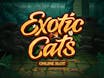 Exotic Cats
