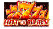 Hot to Burn