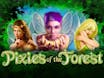 Pixies of the Forest