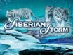 Siberian Storm