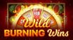 Wild Burning Wins