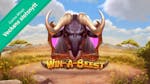 Veckans slotsnytt: Win a Beest, Gonzo’s Quest & Street Racer