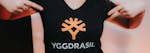 Samla free spins i Valhalla i ny vikingaslot